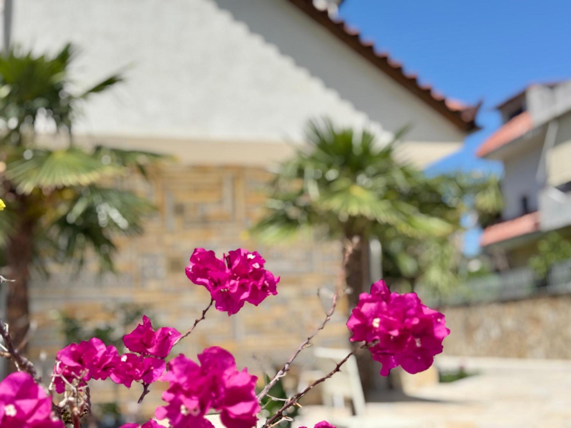 Villa Ida Apartments Vlorë Εξωτερικό φωτογραφία