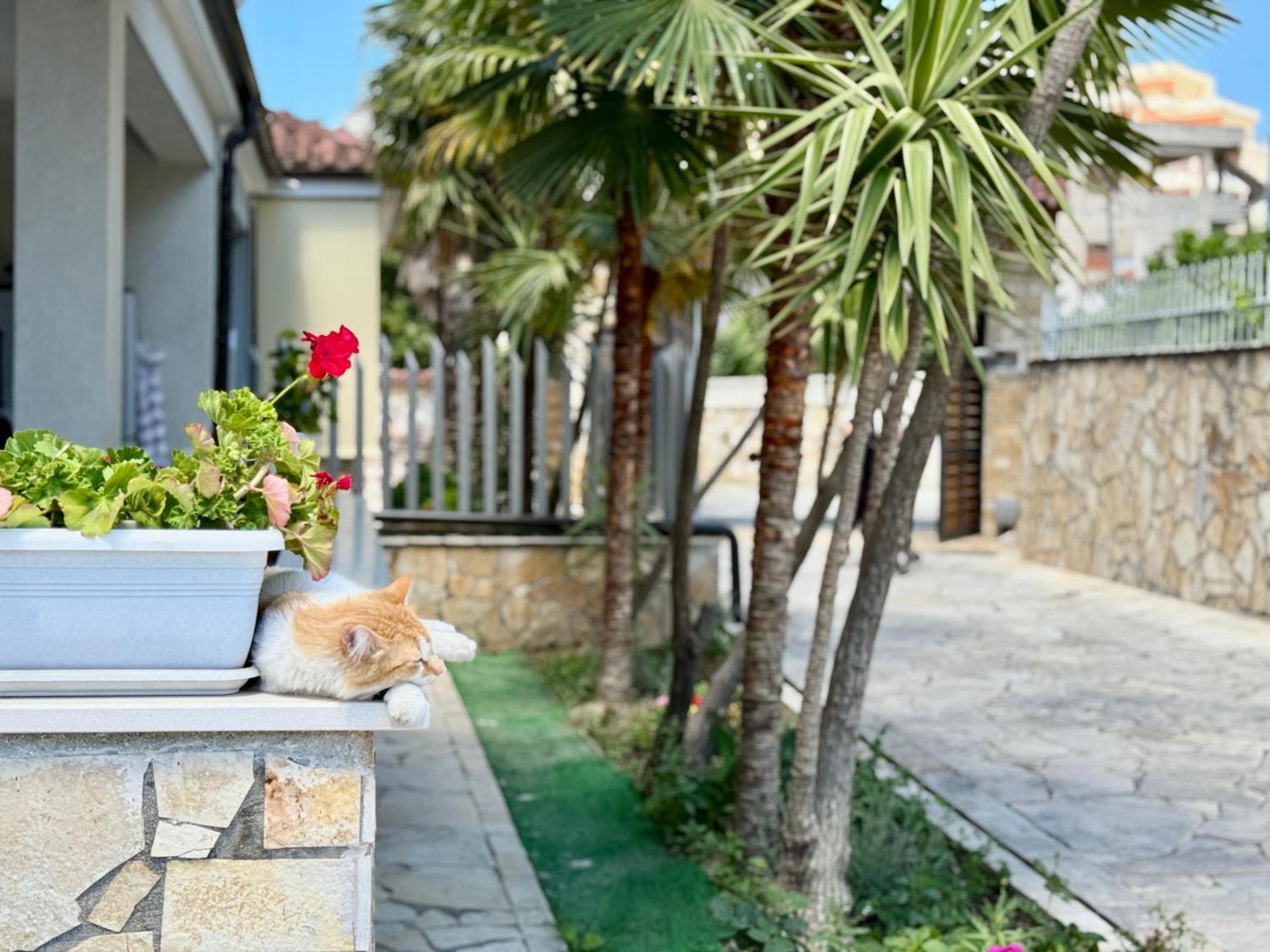 Villa Ida Apartments Vlorë Εξωτερικό φωτογραφία